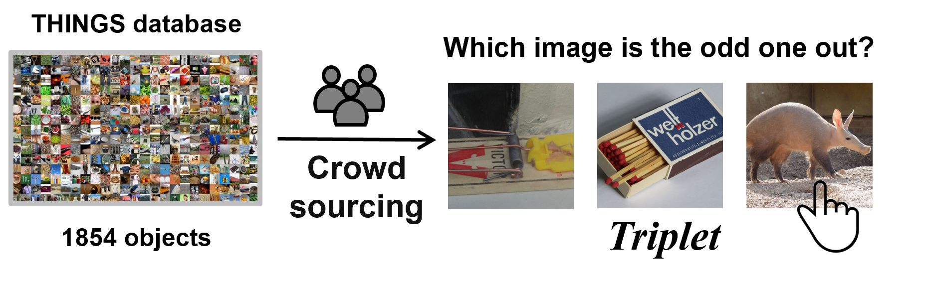 CogAlign: Aligning MLLMs with the Latent Structure of Human Cognition ...